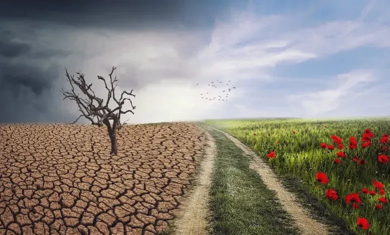 التغير المناخي.. ظواهر طبيعية وأنشطة بشرية تهدد كوكب الأرض | منظمة جرين